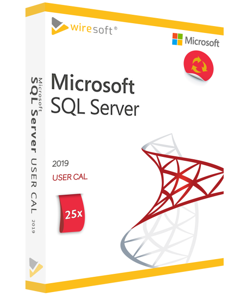 MICROSOFT SQL SERVER 2019 - 25 PACK USER CAL
